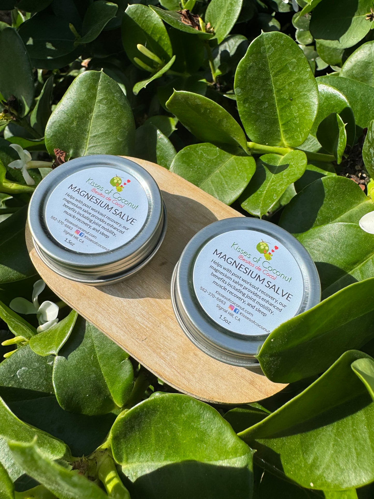 Magnesium Salve