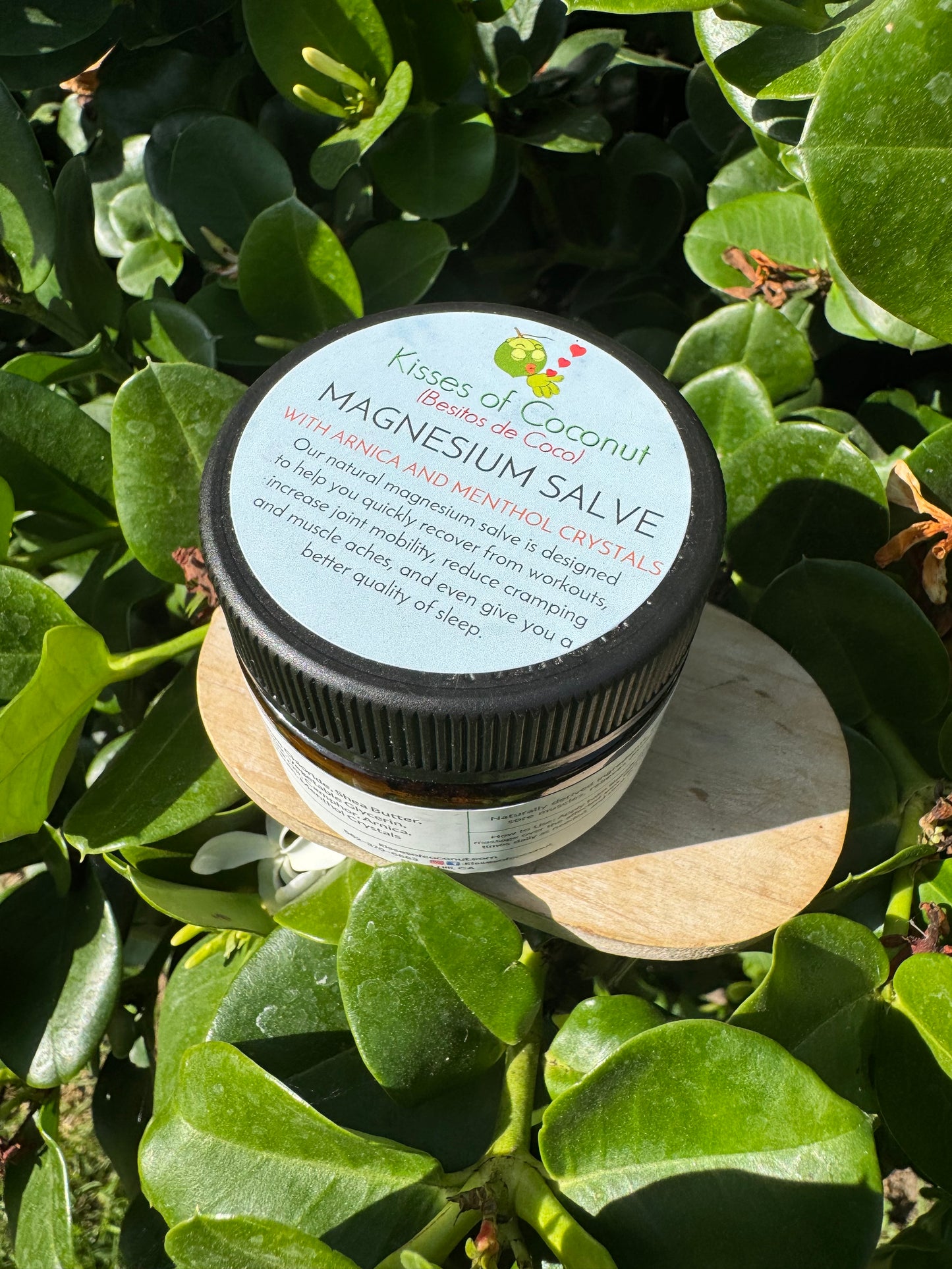 Magnesium Salve